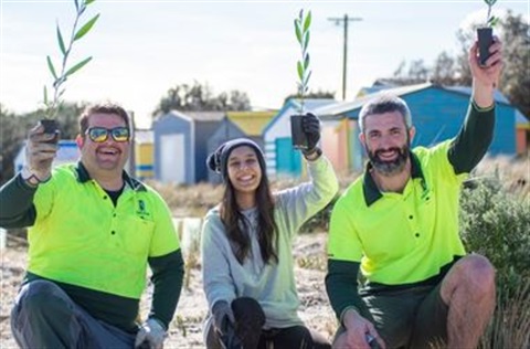 three people planting seedlings on the foreshore