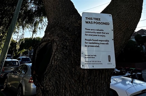 Poisoned tree with signage.