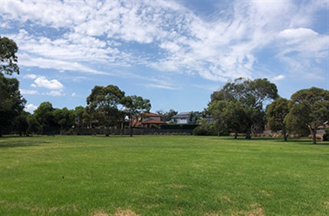 Swallow Reserve in Dingley Village, a vast lawn with natural shade